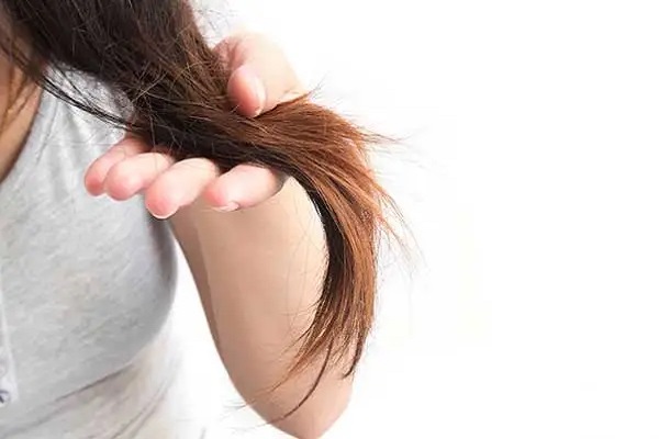 Seu cabelo está com as pontas ralas? Confira dicas para encorpá-lo e manter os fios mais fortes!